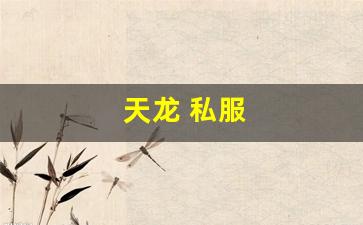 天龙 私服(天龙手游私sf下载) (2)