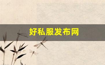 好私服发布网 (14)
