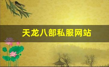 天龙八部3官网登陆：天龙八部私服网站 (5)
