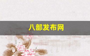 新开天龙私服：八部发布网(八部啥意思)