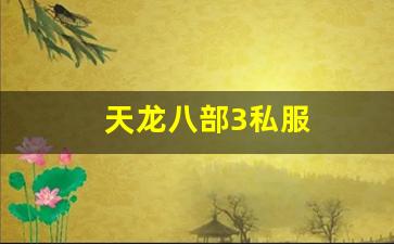 天龙八部3私服 (11)