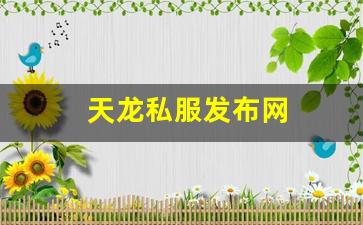 天龙私服发布网(最新天龙sf发布网列表) (7)