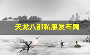 天龙八部私服发布网(天龙八部官网端游) (3)