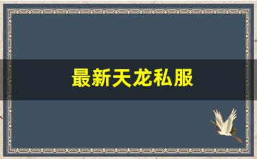 最新天龙私服 (10)