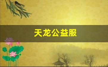 新开天龙八部sf：天龙公益服(天龙八部公益服发布网电脑版)