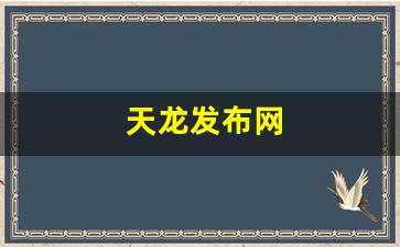 私服免费发布：天龙发布网(天龙八部好天龙发布网) (7)