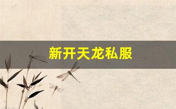 天龙八部私服基地：新开天龙私服 (10)