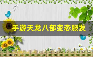 天龙八部sif：手游天龙八部变态服发布网(天龙八部手游荣耀版礼包兑换码) (4)