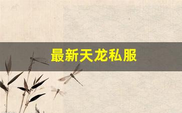 久久天龙：最新天龙私服 (12)