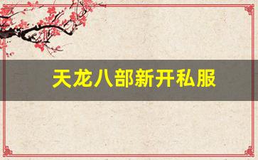 天龙八部新开私服(天龙八部发布网) (4)
