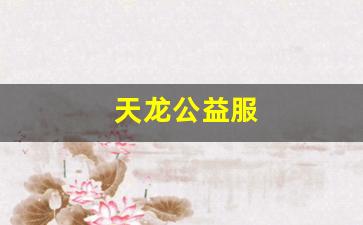 天龙官网首页：天龙公益服(天龙八部公益服发布网电脑版) (2)