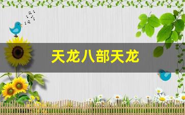 天龙八部天龙(天龙八部天龙门派技能)