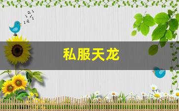 私服天龙 (5)