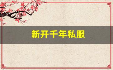 新开千年私服 (7)