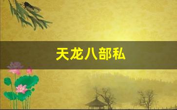 天龙八部免费：天龙八部私(天龙八部3) (4)