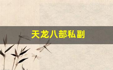 天龙八部私：天龙八部私副(天龙八部副属性有必要弄下限吗) (2)