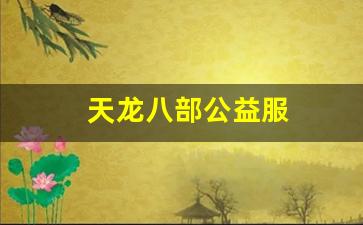 天龙八部公益服(天龙八部公益服哪个人多) (3)