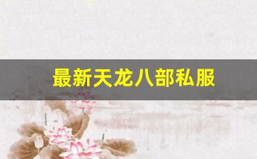 最新天龙八部私服 (11)