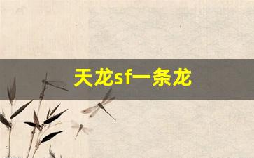 私服天龙：天龙sf一条龙(天龙一条啥意思) (8)