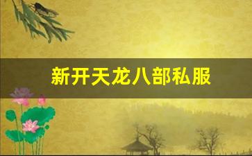 新开天龙八部私服 (9)