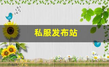 天龙八部变态服发布网：私服发布站 (2)